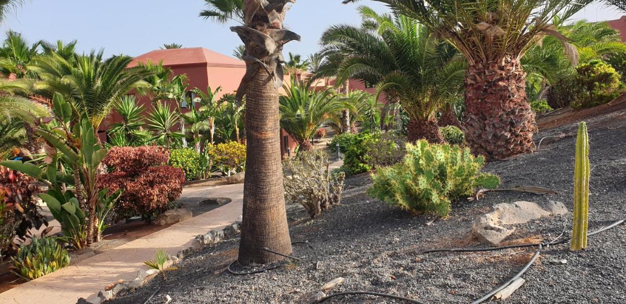 Tamarindo I Piscinas De Agua Salada Apartment Corralejo Exterior photo